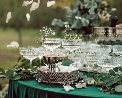 Šampano staliukas: viskas, ką reikia žinoti (nuo tiekėjų Iki leidimų)