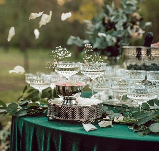 Šampano staliukas: viskas, ką reikia žinoti (nuo tiekėjų Iki leidimų)